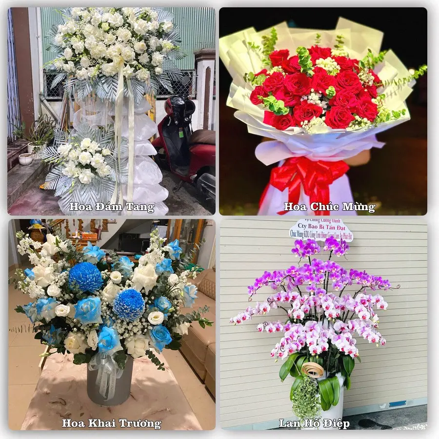 Tư vấn chọn hoa theo người nhận và dịp tặng tại Xã Nam Xang - Tỉnh Ninh Bình