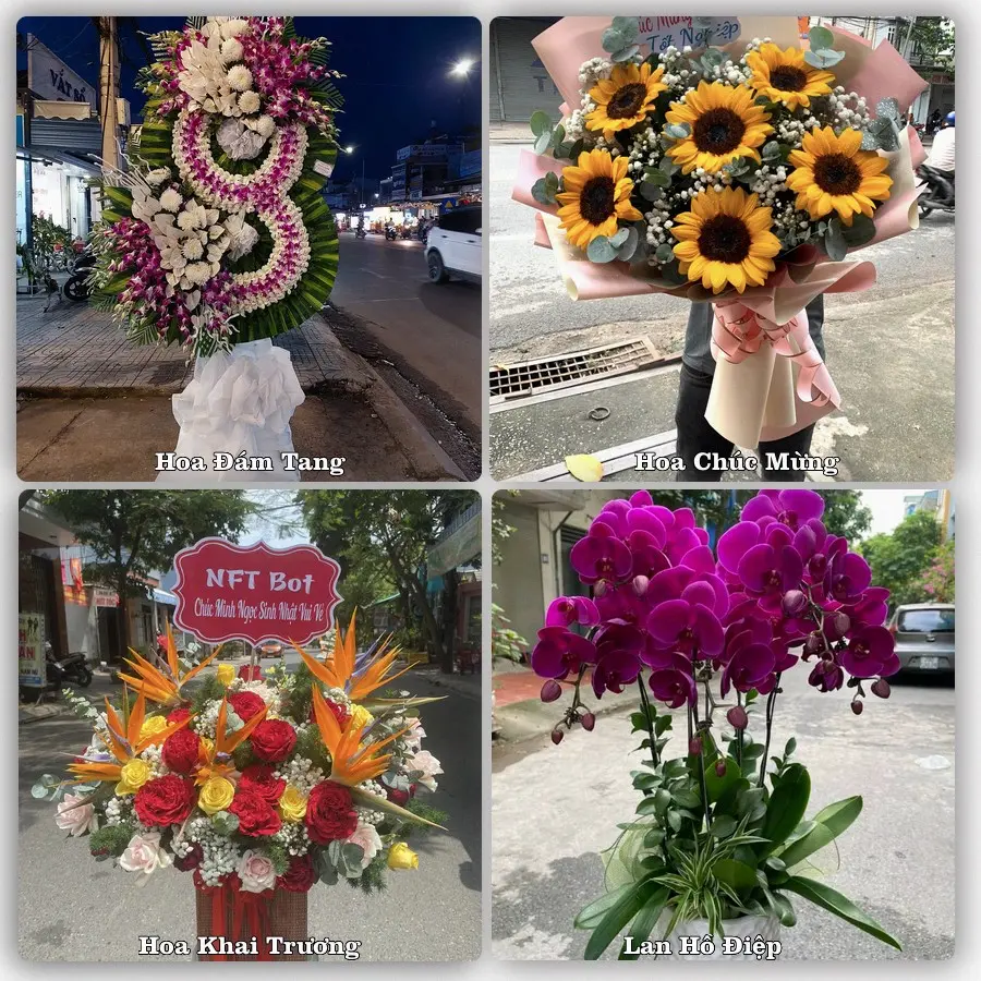 Tư vấn chọn hoa theo người nhận và dịp tặng tại Phường Ninh Hòa - Tỉnh Khánh Hòa