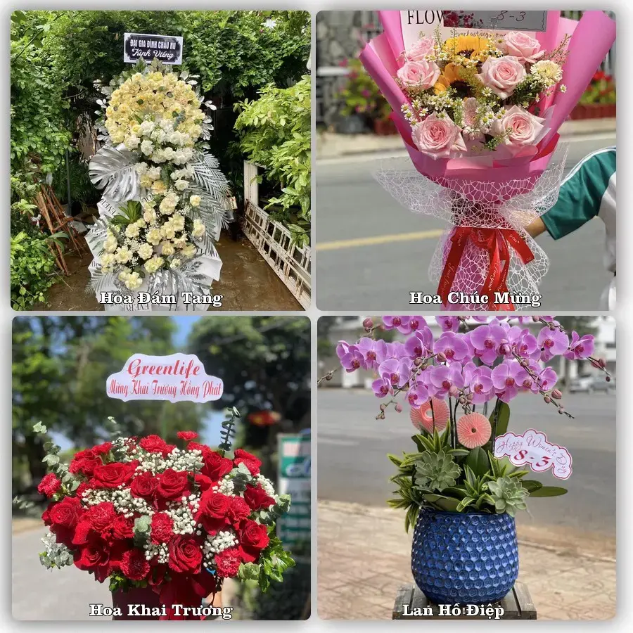 Đặt hoa tươi tại Xã Phong Doanh, Ninh Bình – chọn mẫu theo ngân sách