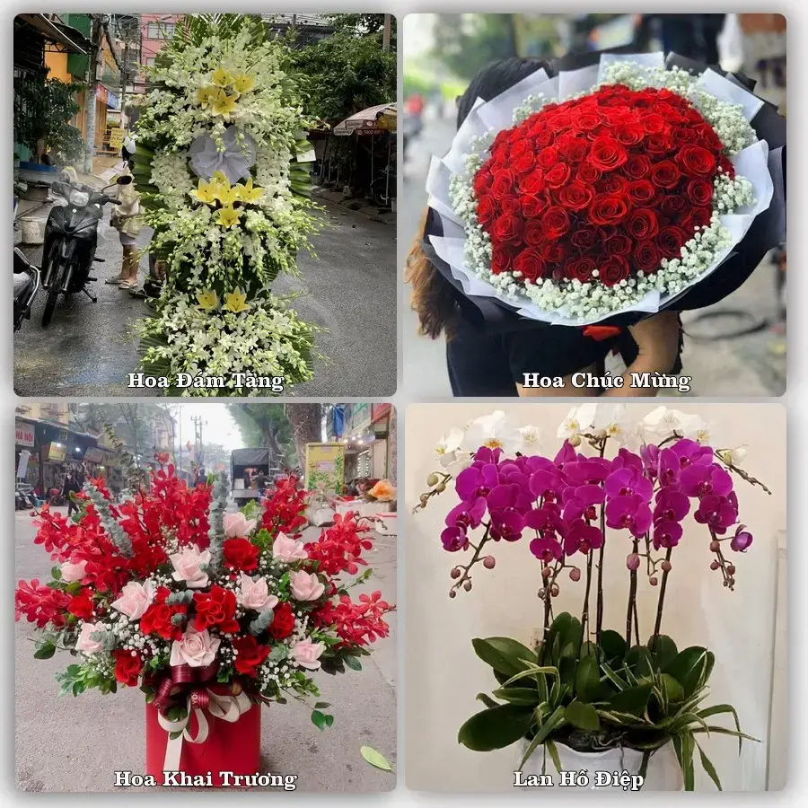 Tư vấn chọn hoa theo người nhận và dịp tặng tại Xã Phong Doanh - Tỉnh Ninh Bình