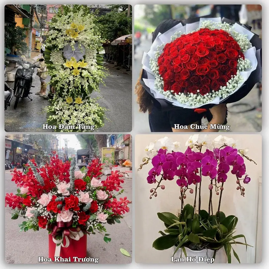 Tư vấn chọn hoa theo người nhận và dịp tặng tại Xã Phong Doanh - Tỉnh Ninh Bình