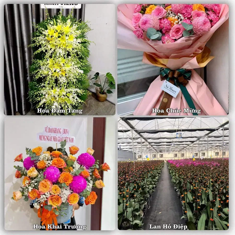Shop hoa tươi Xã Phú Xuyên, Hà Nội – đặt hoa theo dịp, giao tận nơi