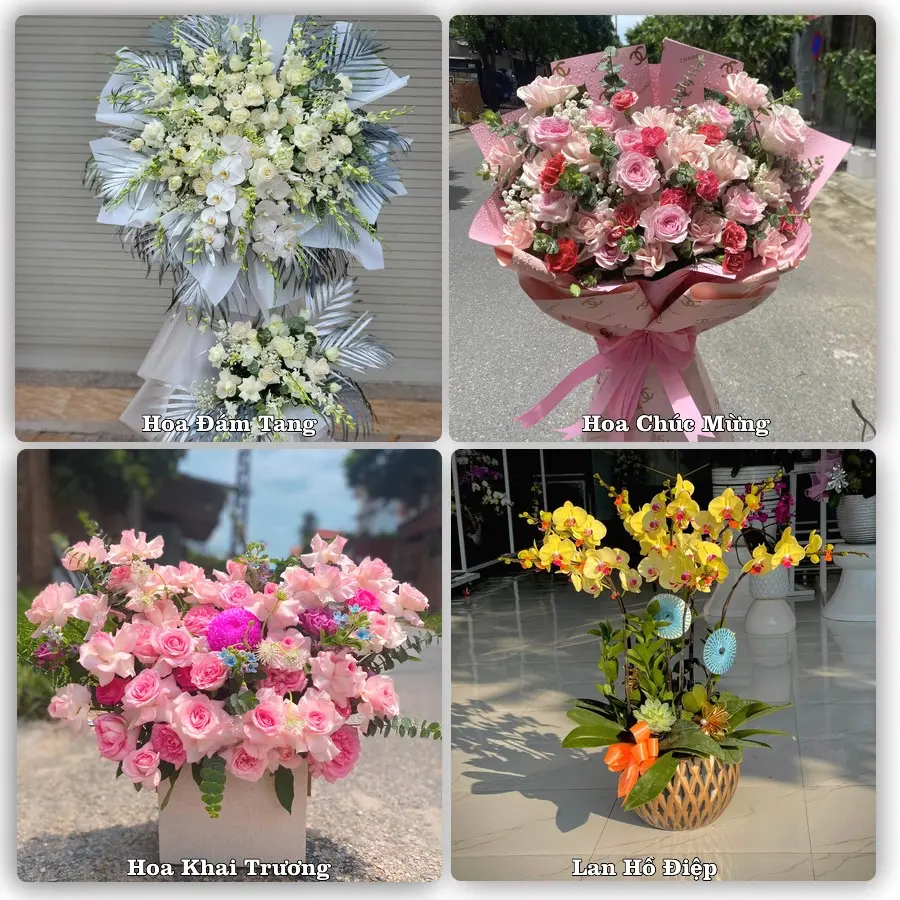 Tư vấn chọn hoa theo người nhận và dịp tặng tại Phường Phú Yên - Tỉnh Đắk Lắk