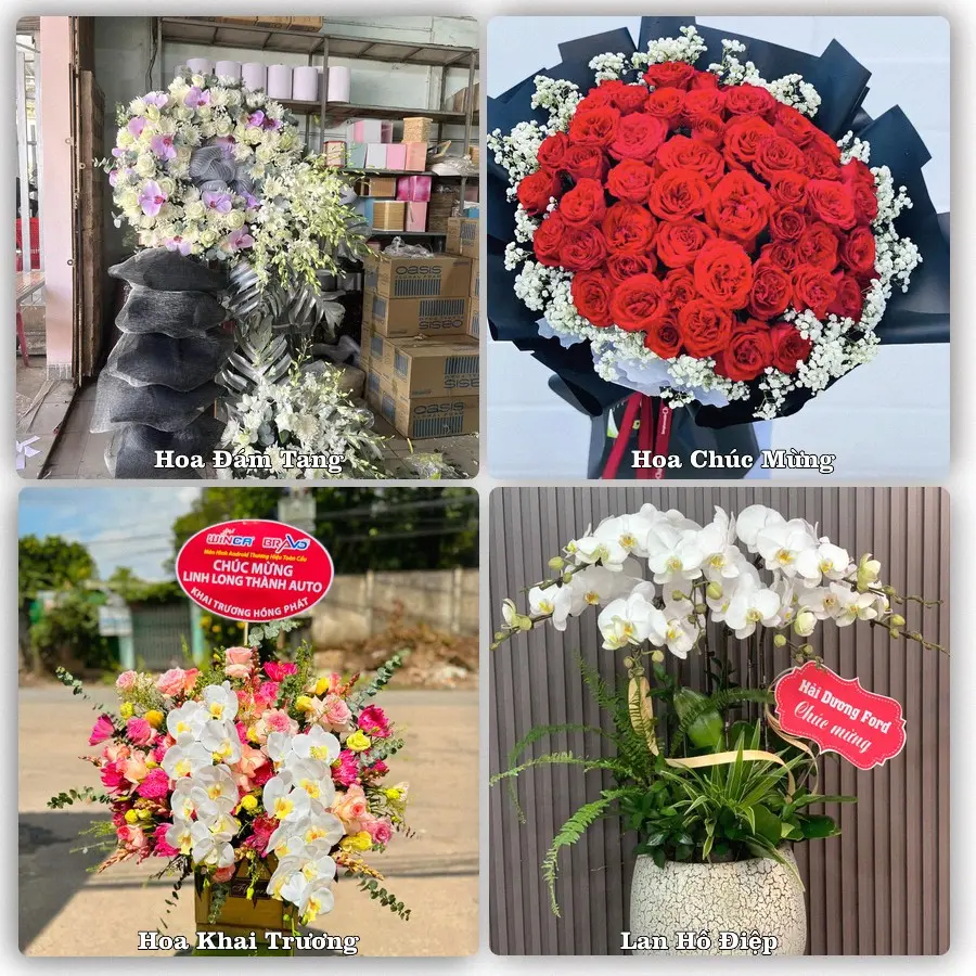 Tư vấn chọn hoa theo người nhận và dịp tặng tại Xã Phước Lý - Tỉnh Tây Ninh