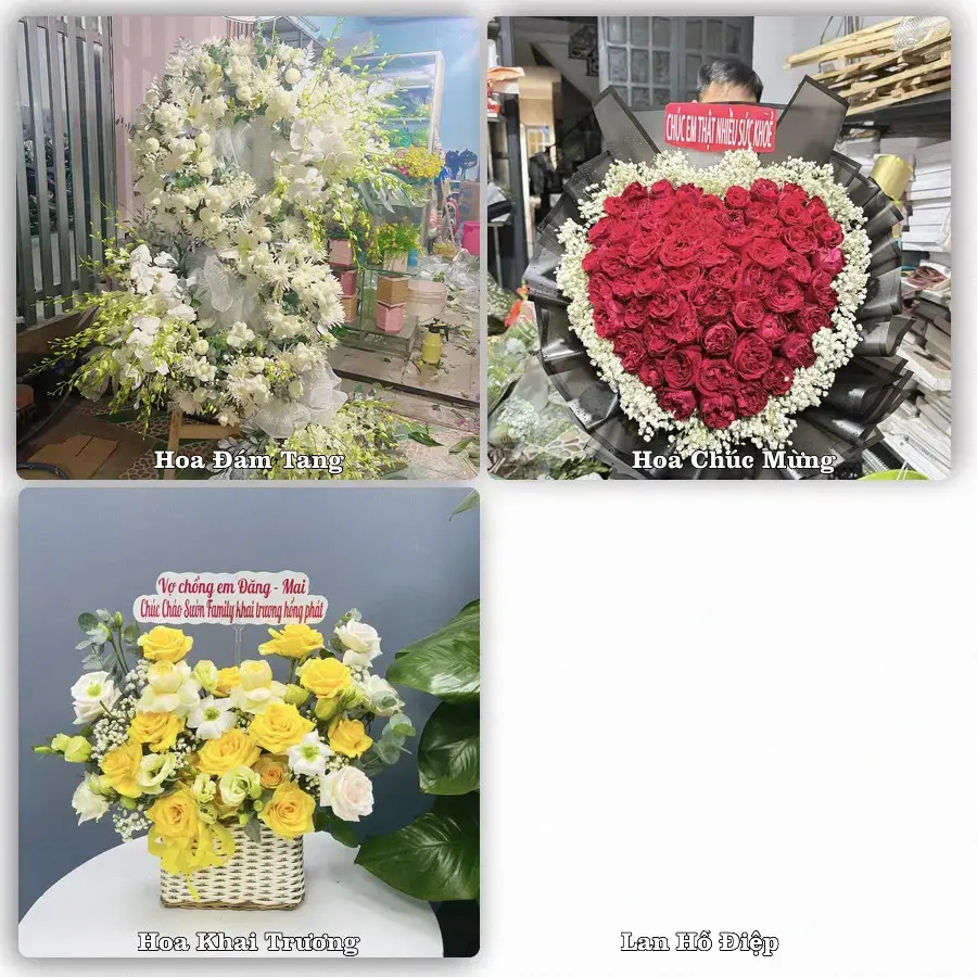 Đặt hoa tươi tại Xã Tân Hương, Đồng Tháp – chọn mẫu theo ngân sách