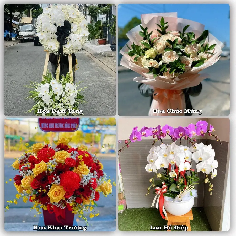 Tư vấn chọn hoa theo người nhận và dịp tặng tại Xã Tân Hương - Tỉnh Đồng Tháp