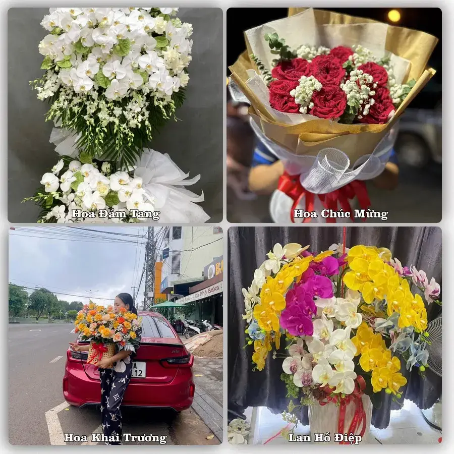 Dịch vụ đặt hoa và giao tận nơi tại Xã Tân Thuận Bình - Tỉnh Đồng Tháp