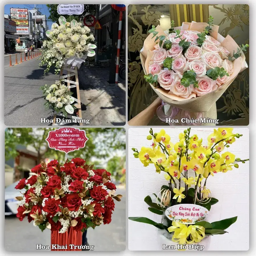 Mẫu hoa phục vụ nhu cầu đặt hoa tại Xã Tân Thuận Bình - Tỉnh Đồng Tháp