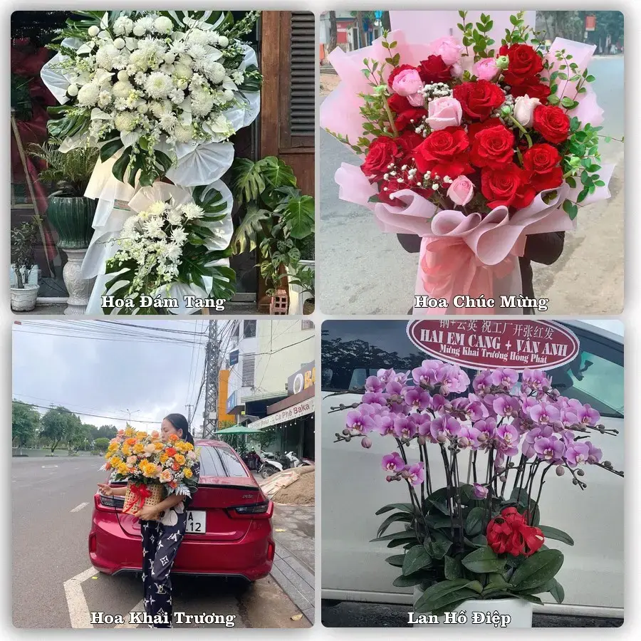 Tư vấn chọn hoa theo người nhận và dịp tặng tại Xã Tân Thuận Bình - Tỉnh Đồng Tháp