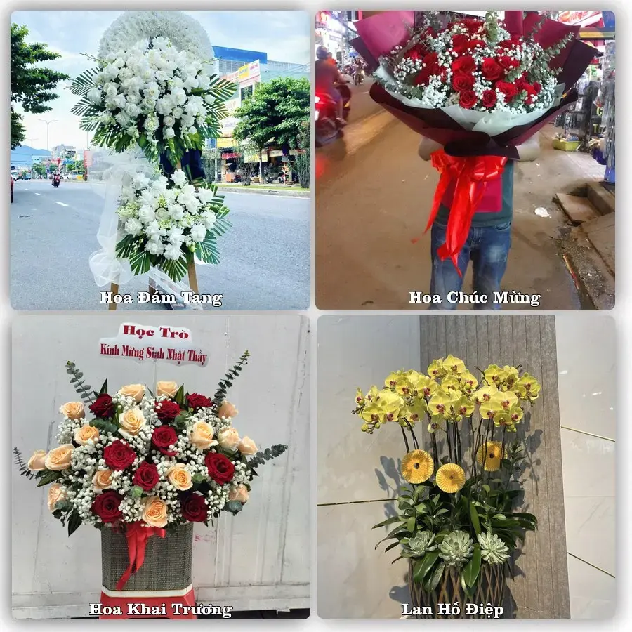 Tiệm hoa tươi Phường Buôn Hồ, Đắk Lắk – hoa sinh nhật và khai trương