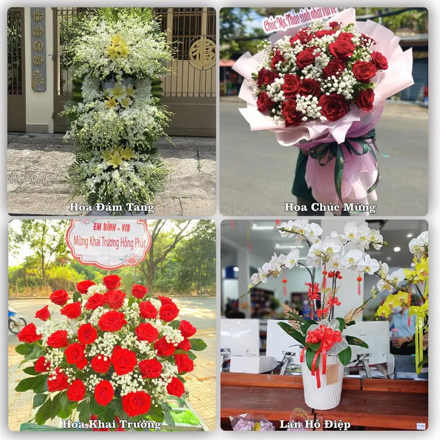 Tư vấn chọn hoa theo người nhận và dịp tặng tại Phường Buôn Hồ - Tỉnh Đắk Lắk