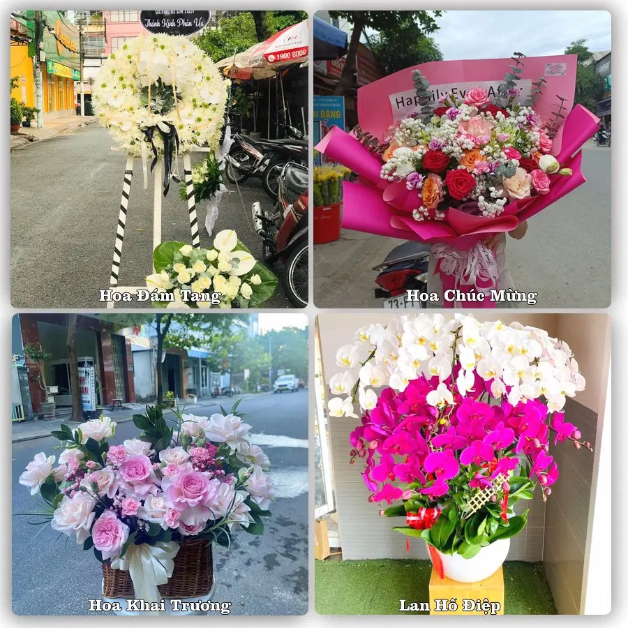 Dịch vụ đặt hoa và giao tận nơi tại Phường Hòa Thành - Tỉnh Tây Ninh