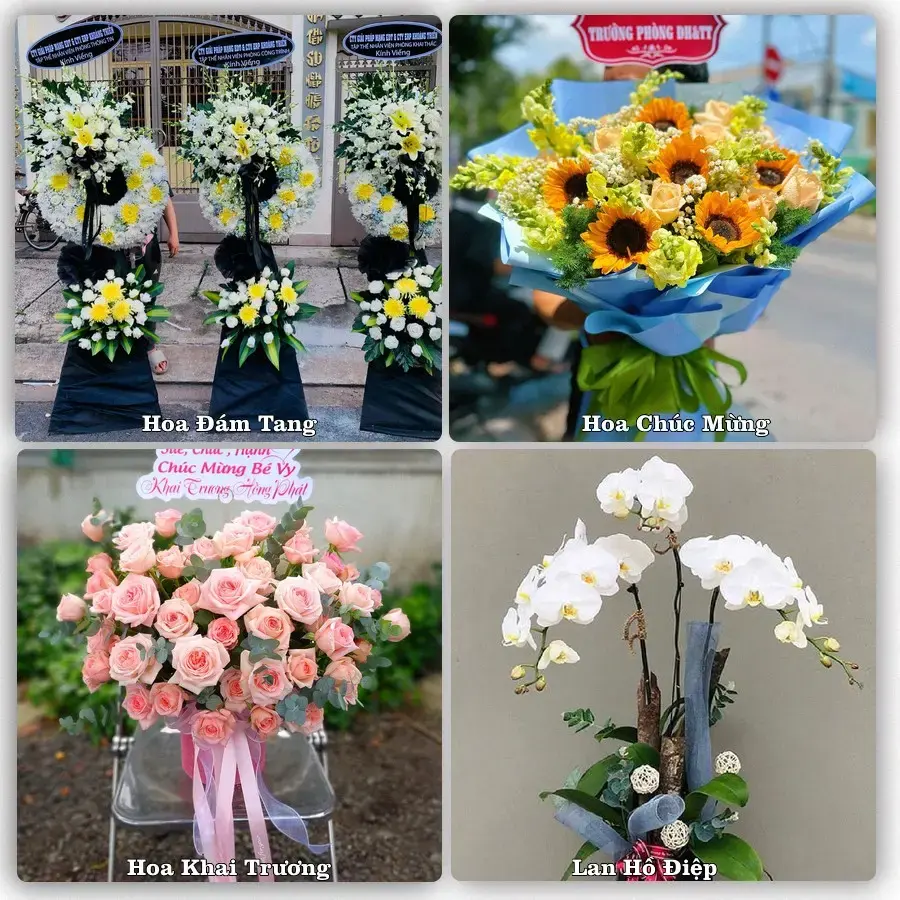 Tư vấn chọn hoa theo người nhận và dịp tặng tại Phường Hòa Thành - Tỉnh Tây Ninh