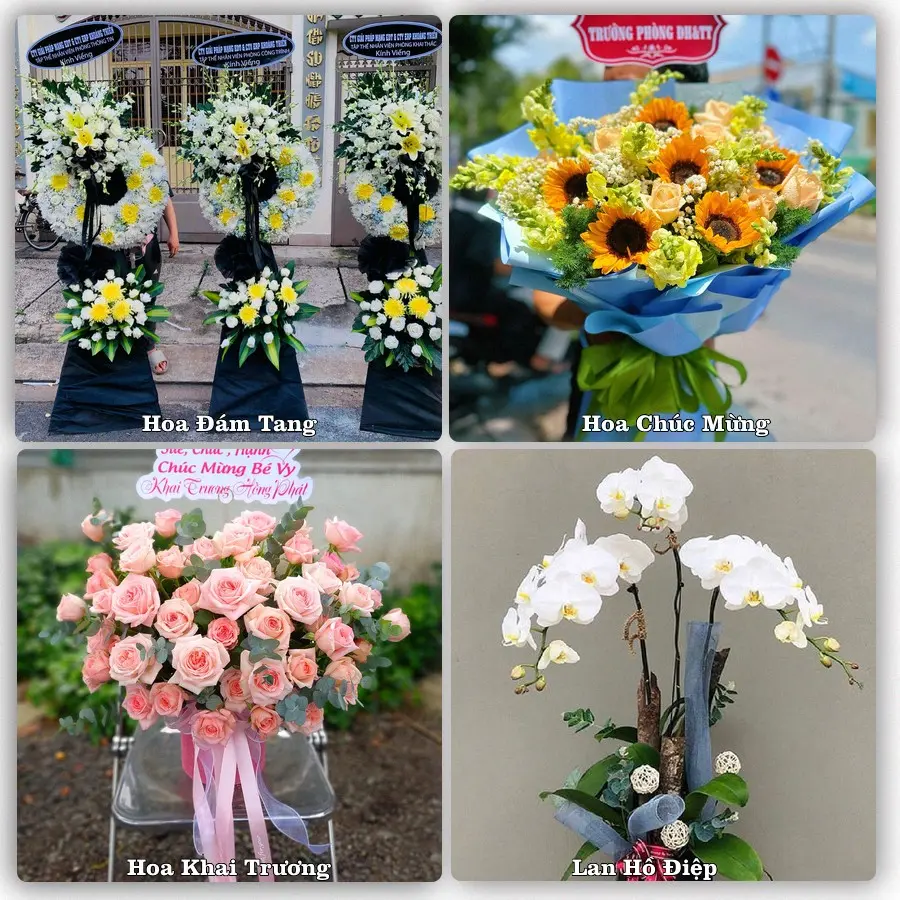 Tư vấn chọn hoa theo người nhận và dịp tặng tại Phường Hòa Thành - Tỉnh Tây Ninh