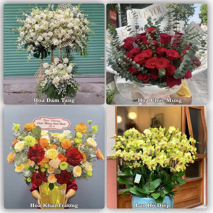 Tư vấn chọn hoa theo người nhận và dịp tặng tại Phường Phước Thới - Thành phố Cần Thơ