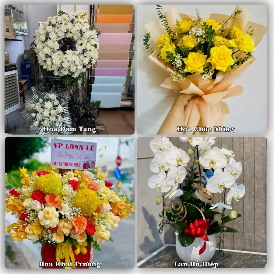Tư vấn chọn hoa theo người nhận và dịp tặng tại Xã Tân Đông - Tỉnh Đồng Tháp