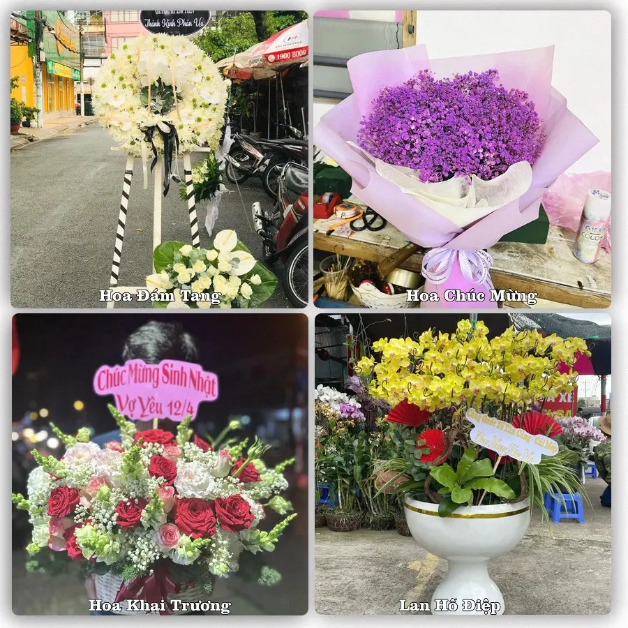 Tư vấn chọn hoa theo người nhận và dịp tặng tại Xã Tân Nhuận Đông - Tỉnh Đồng Tháp