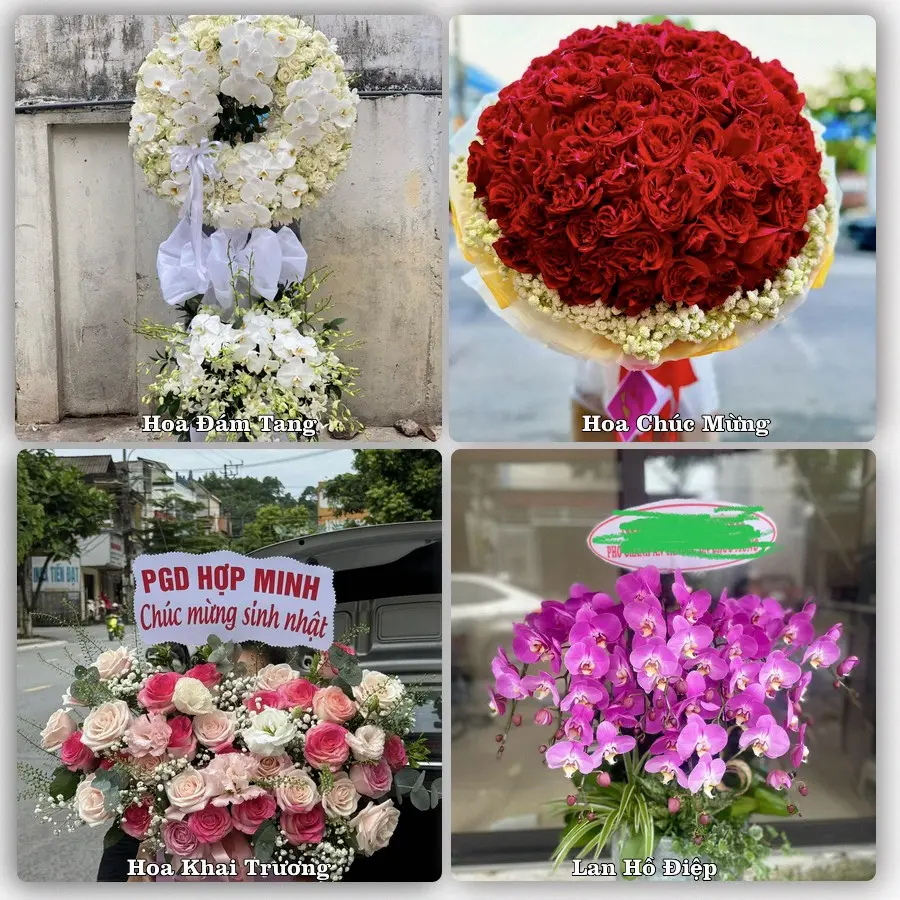 Dịch vụ đặt hoa và giao tận nơi tại Phường Tây Tựu - Thành phố Hà Nội