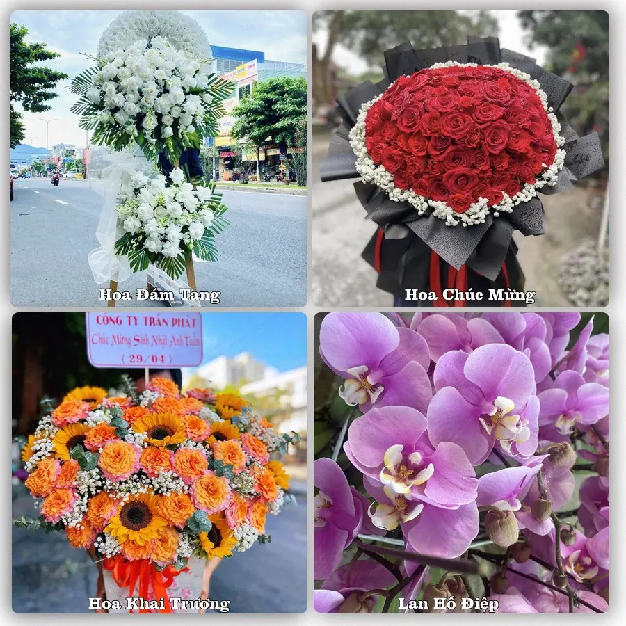 Tư vấn chọn hoa theo người nhận và dịp tặng tại Phường Tây Tựu - Thành phố Hà Nội