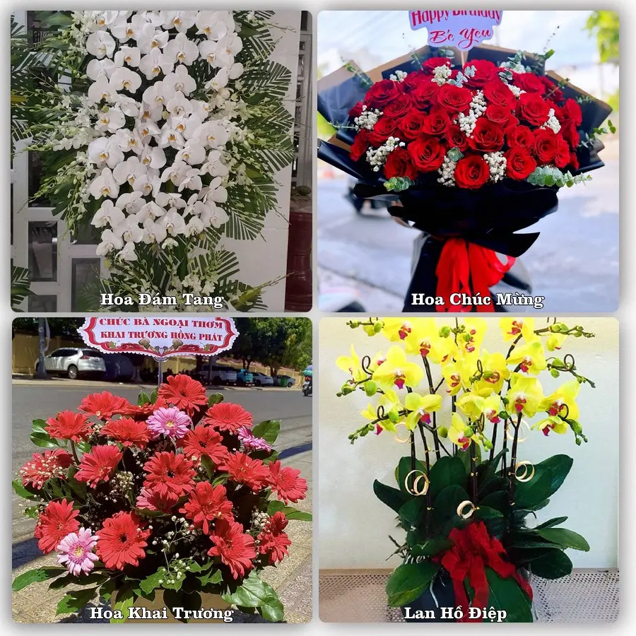 Dịch vụ đặt hoa và giao tận nơi tại Xã Thường Phước - Tỉnh Đồng Tháp