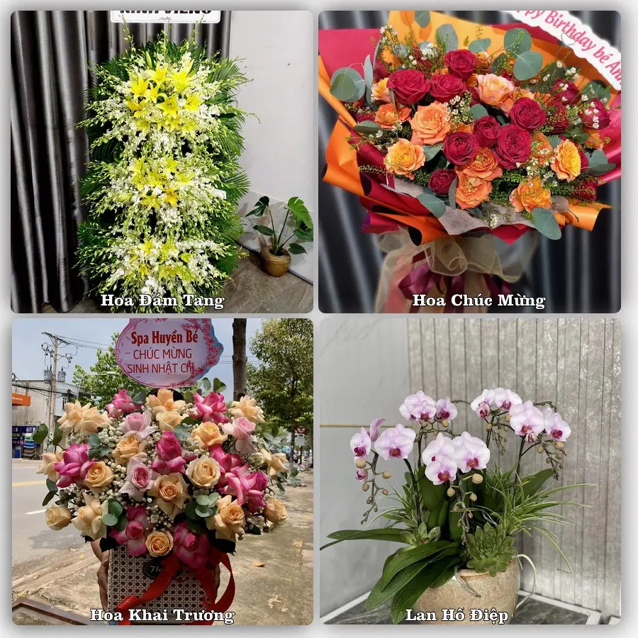 Tư vấn chọn hoa theo người nhận và dịp tặng tại Xã Thường Phước - Tỉnh Đồng Tháp