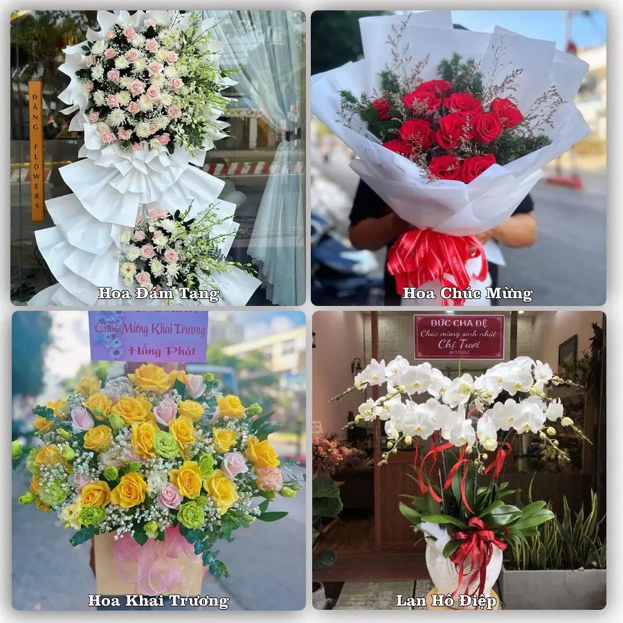 Tư vấn chọn hoa theo người nhận và dịp tặng tại Phường Tiền Phong - Tỉnh Bắc Ninh
