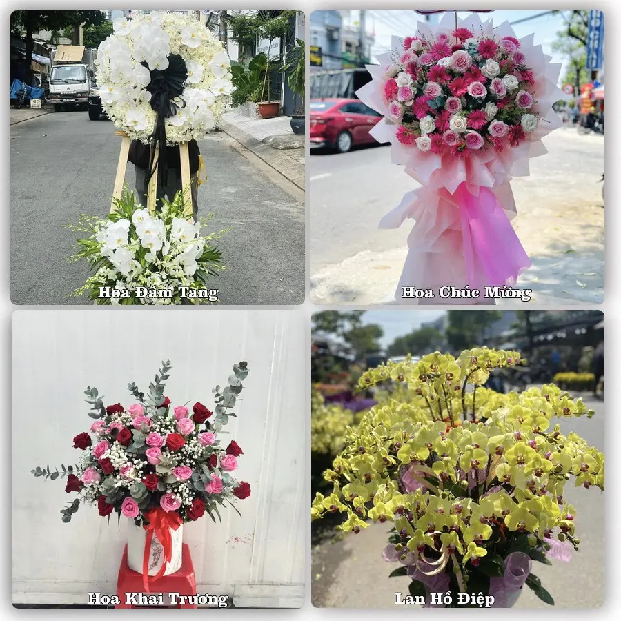 Dịch vụ đặt hoa và giao tận nơi tại Xã Vân Đình - Thành phố Hà Nội