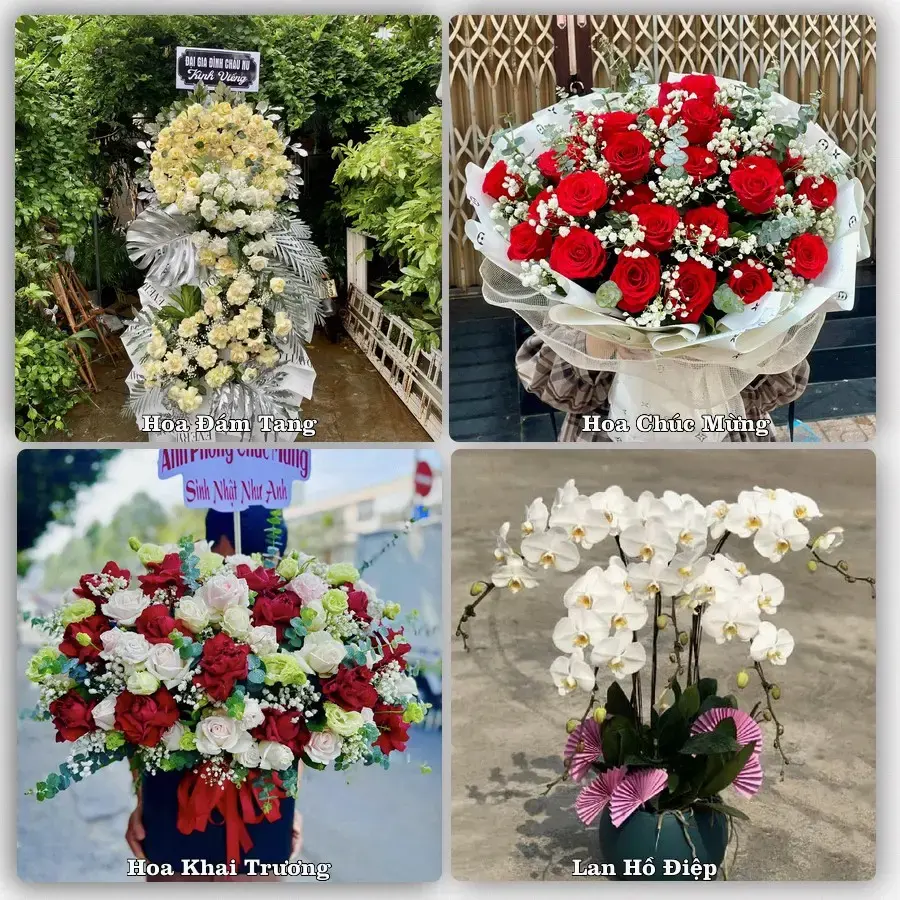 Tiệm hoa tươi Xã Vân Đình, Hà Nội – hoa sinh nhật và khai trương