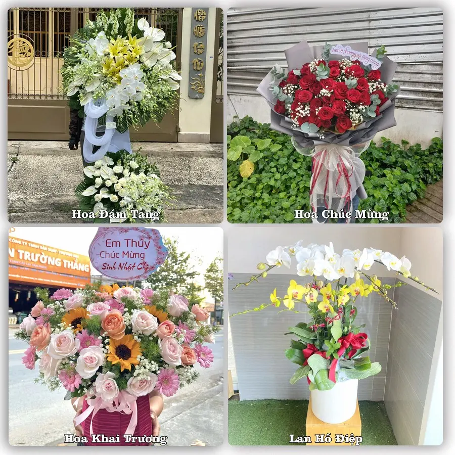 Tư vấn chọn hoa theo người nhận và dịp tặng tại Xã Vân Đình - Thành phố Hà Nội