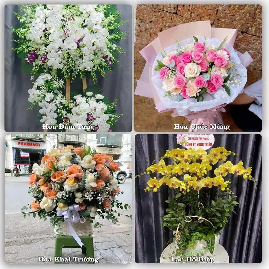 Mẫu hoa phục vụ nhu cầu đặt hoa tại Xã Vĩnh Xuân - Tỉnh Vĩnh Long