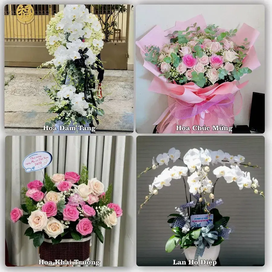 Tư vấn chọn hoa theo người nhận và dịp tặng tại Xã Vĩnh Xuân - Tỉnh Vĩnh Long