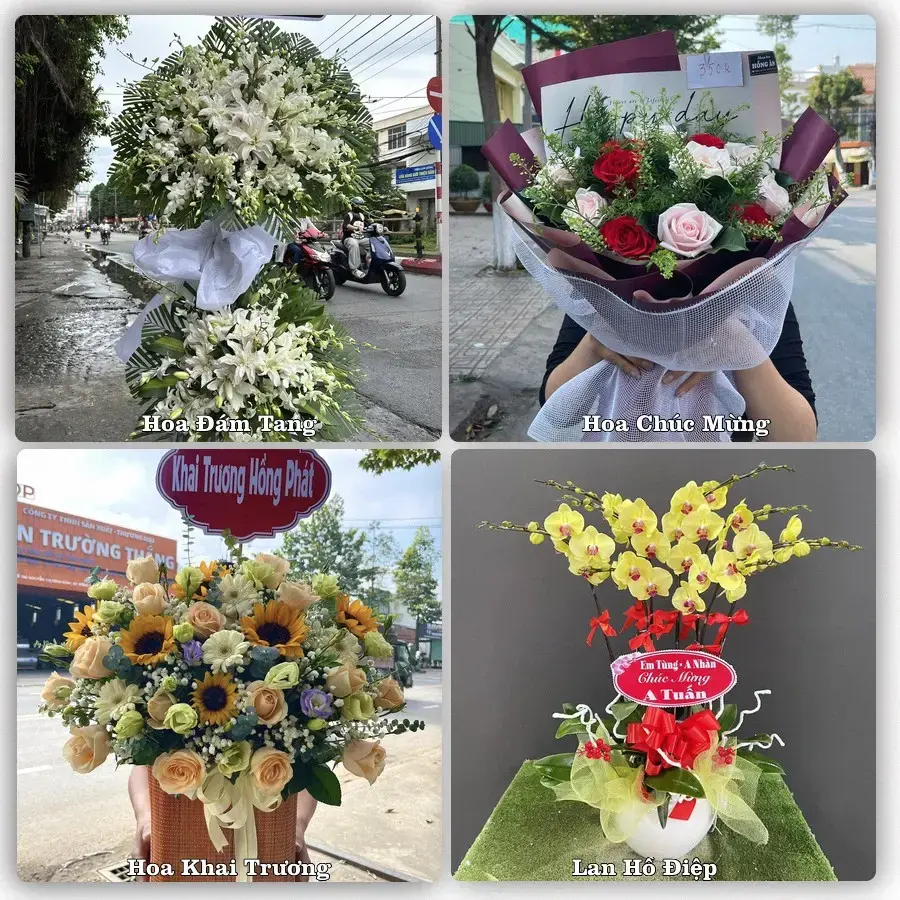 Mẫu hoa phục vụ nhu cầu đặt hoa tại Xã An Long - Tỉnh Đồng Tháp