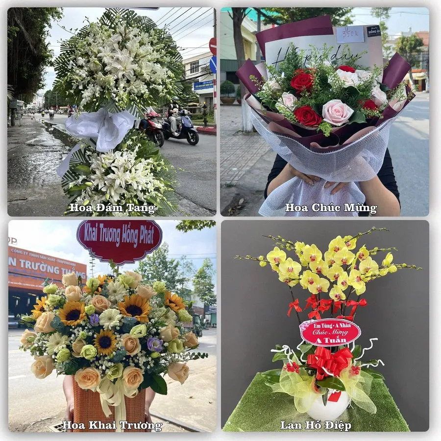 Mẫu hoa phục vụ nhu cầu đặt hoa tại Xã An Long - Tỉnh Đồng Tháp