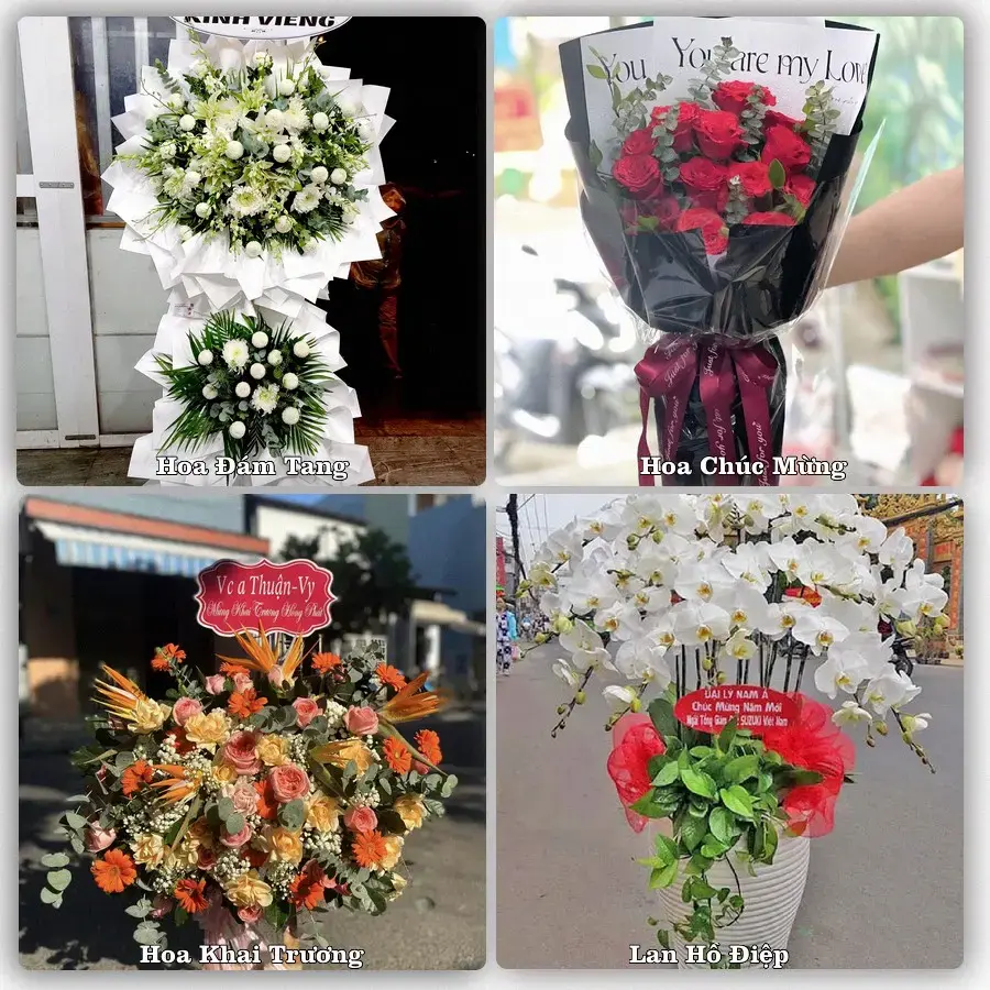 Shop hoa Xã Cổ Đô, Hà Nội – tư vấn mẫu, giao tận nơi