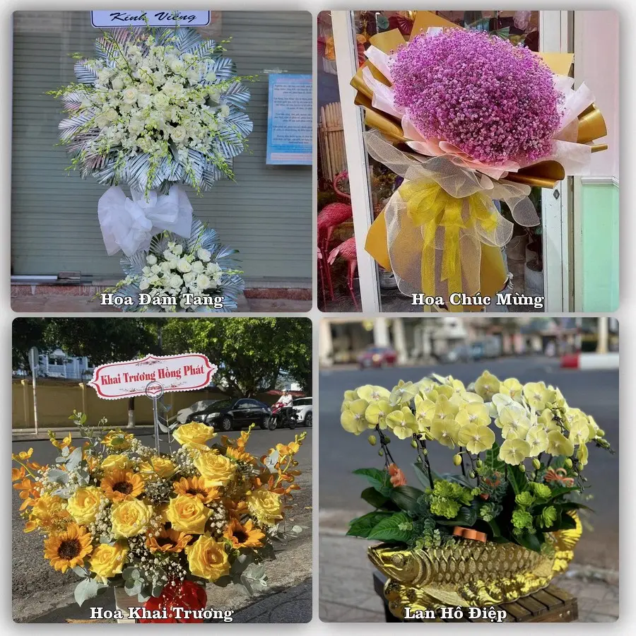 Dịch vụ đặt hoa và giao tận nơi tại Xã Hồ Tràm - Thành phố Hồ Chí Minh