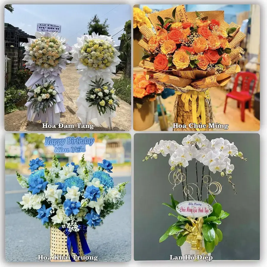 Shop hoa Xã Hồ Tràm, Hồ Chí Minh – tư vấn mẫu, giao tận nơi