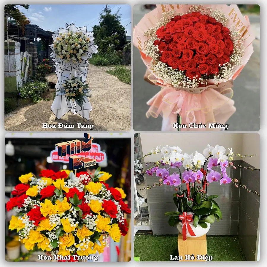 Mẫu hoa phục vụ nhu cầu đặt hoa tại Phường Hội An Tây - Thành phố Đà Nẵng