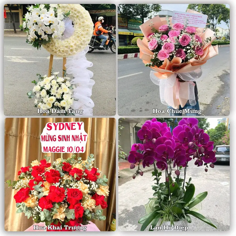 Mẫu hoa phục vụ nhu cầu đặt hoa tại Xã Hưng Thịnh - Tỉnh Đồng Nai