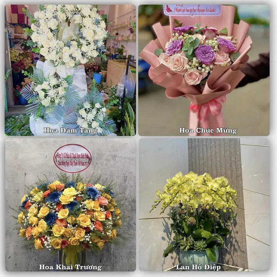 Tư vấn chọn hoa theo người nhận và dịp tặng tại Xã Hưng Thịnh - Tỉnh Đồng Nai