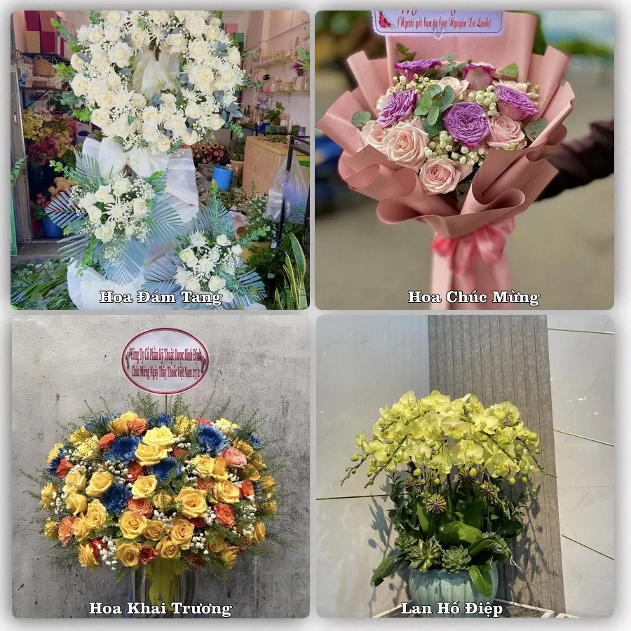 Tư vấn chọn hoa theo người nhận và dịp tặng tại Xã Hưng Thịnh - Tỉnh Đồng Nai