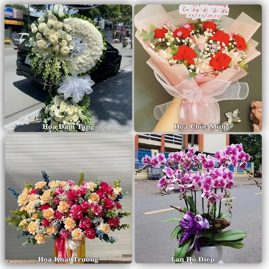 Dịch vụ đặt hoa và giao tận nơi tại Phường Long Đức - Tỉnh Vĩnh Long