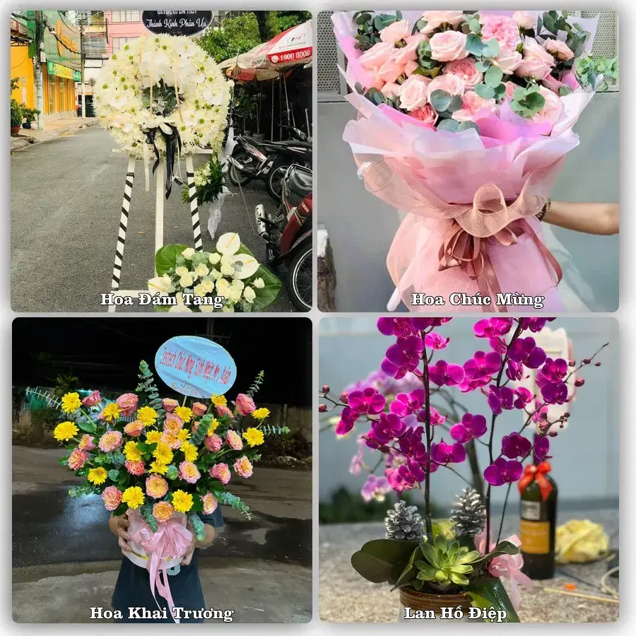 Mẫu hoa phục vụ nhu cầu đặt hoa tại Phường Long Đức - Tỉnh Vĩnh Long