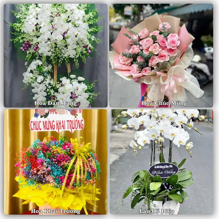 Tư vấn chọn hoa theo người nhận và dịp tặng tại Phường Long Đức - Tỉnh Vĩnh Long