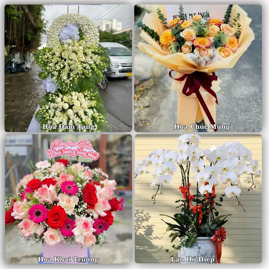 Dịch vụ đặt hoa và giao tận nơi tại Xã Mỏ Cày - Tỉnh Vĩnh Long