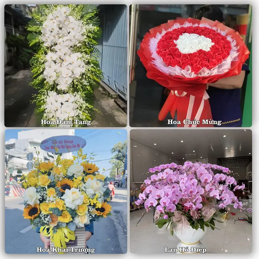 Shop hoa Xã Mỏ Cày, Vĩnh Long – tư vấn mẫu, giao tận nơi