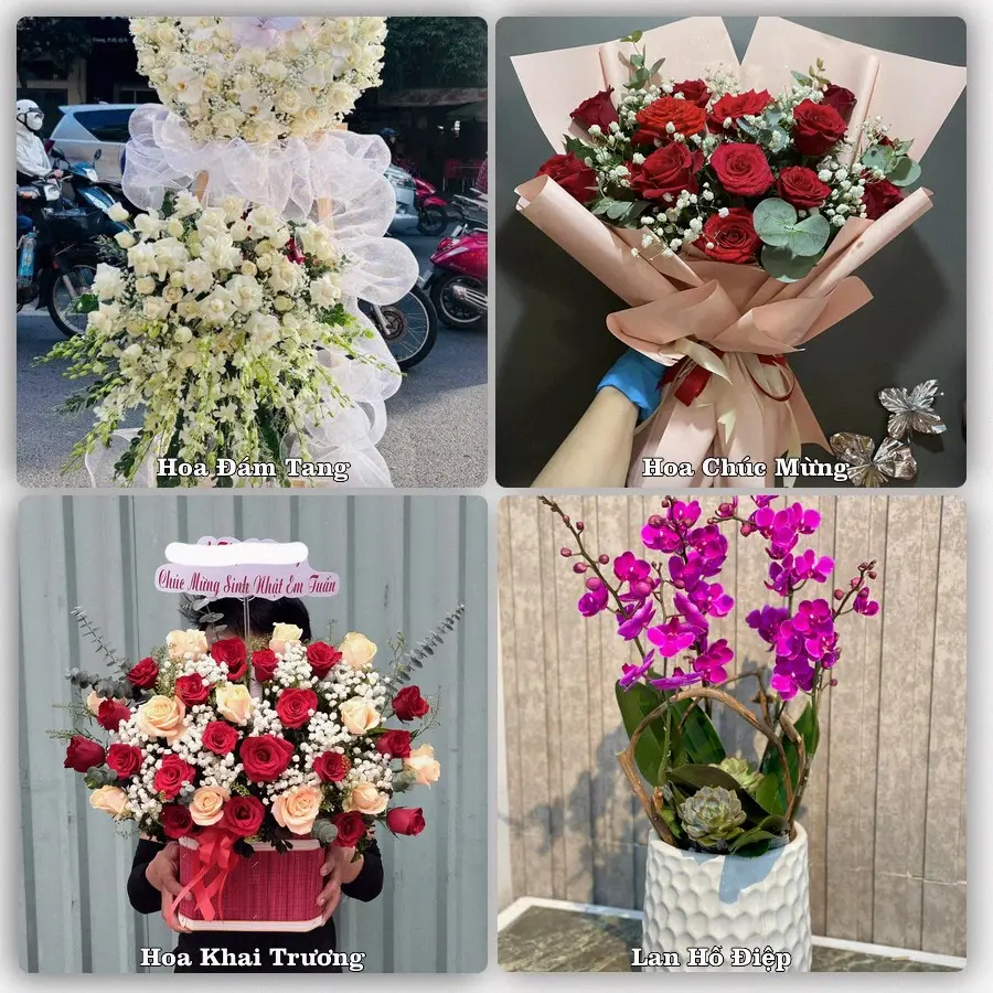 Tư vấn chọn hoa theo người nhận và dịp tặng tại Xã Mỏ Cày - Tỉnh Vĩnh Long
