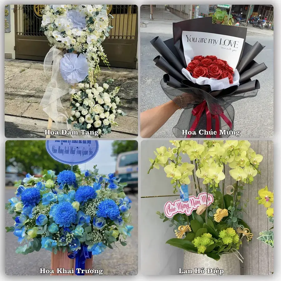 Shop hoa Xã Mỹ Lộc, Tây Ninh – tư vấn mẫu, giao tận nơi