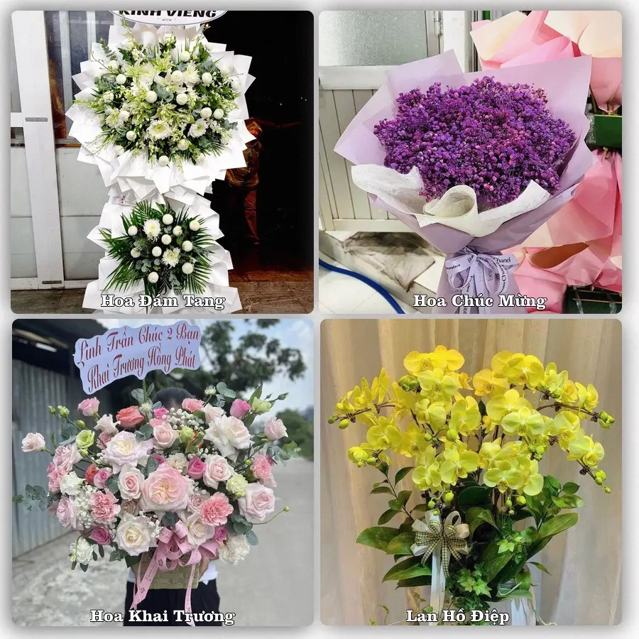 Tư vấn chọn hoa theo người nhận và dịp tặng tại Xã Mỹ Lộc - Tỉnh Tây Ninh