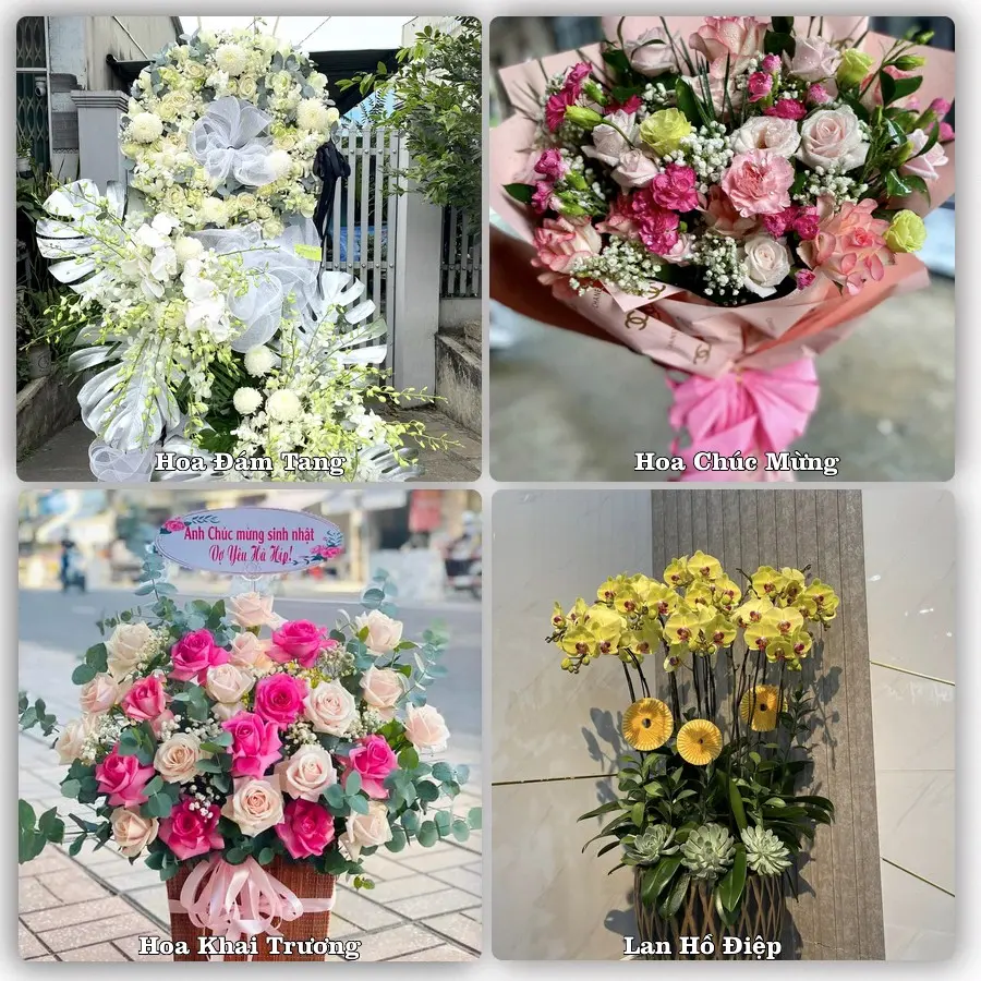 Dịch vụ đặt hoa và giao tận nơi tại Phường Mỹ Thượng - Thành phố Huế