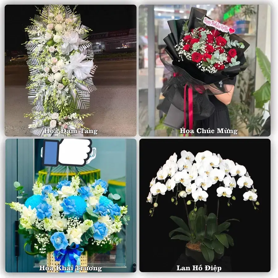 Shop hoa Phường Mỹ Thượng, Huế – tư vấn mẫu, giao tận nơi